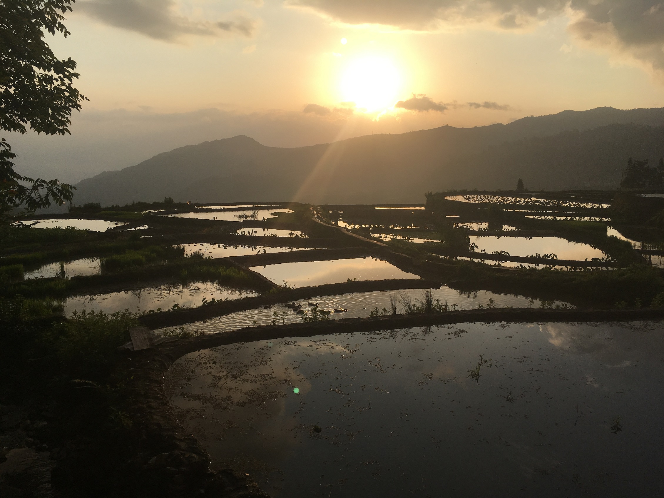 Sunrise Over Terraces in Yuanyang, China