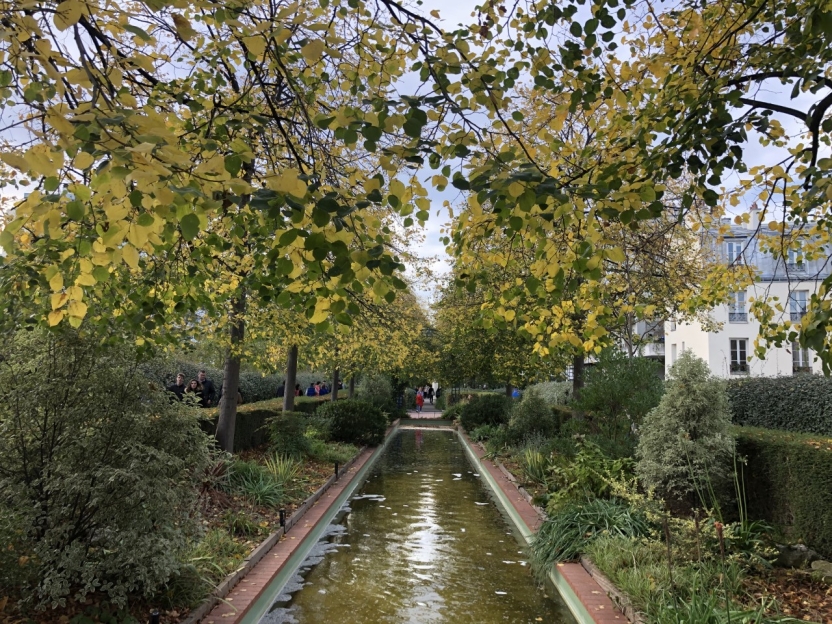 Photo of a canal and overhanging trees