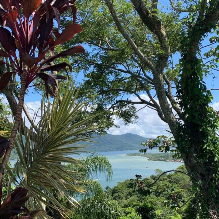 A view through tropical flora to the bay