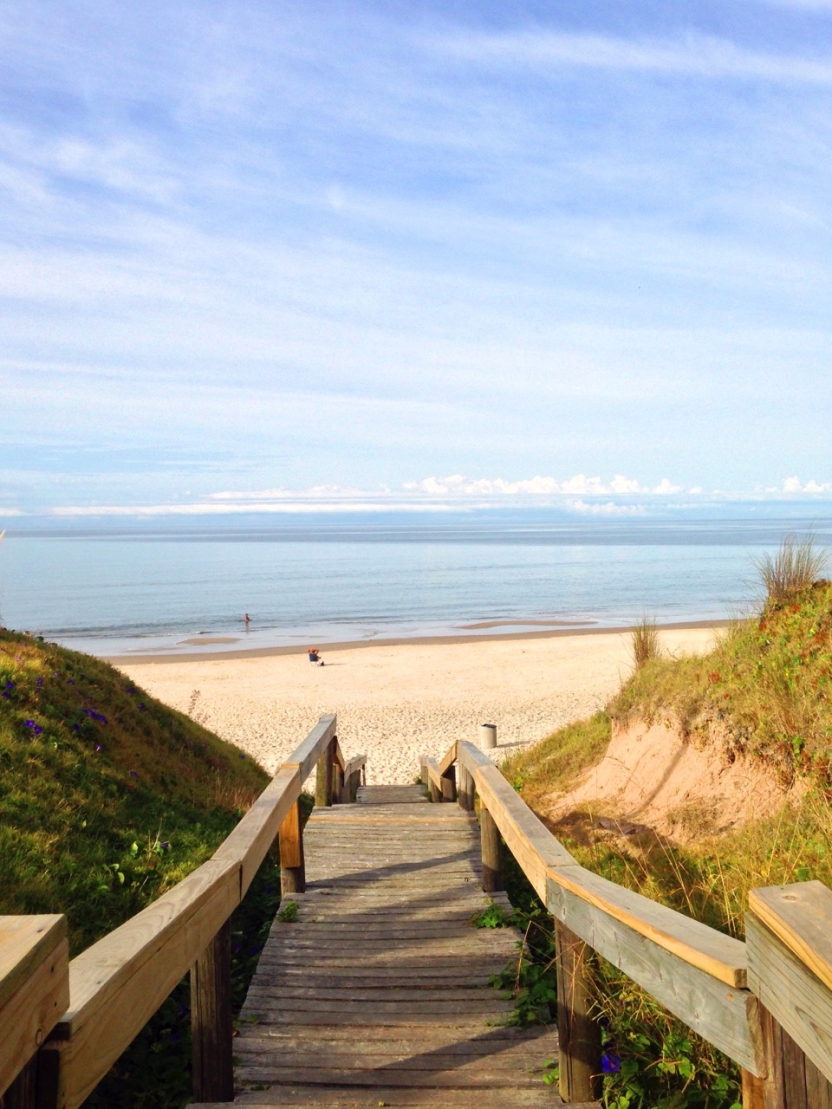 A wooden walkway leading to the beach