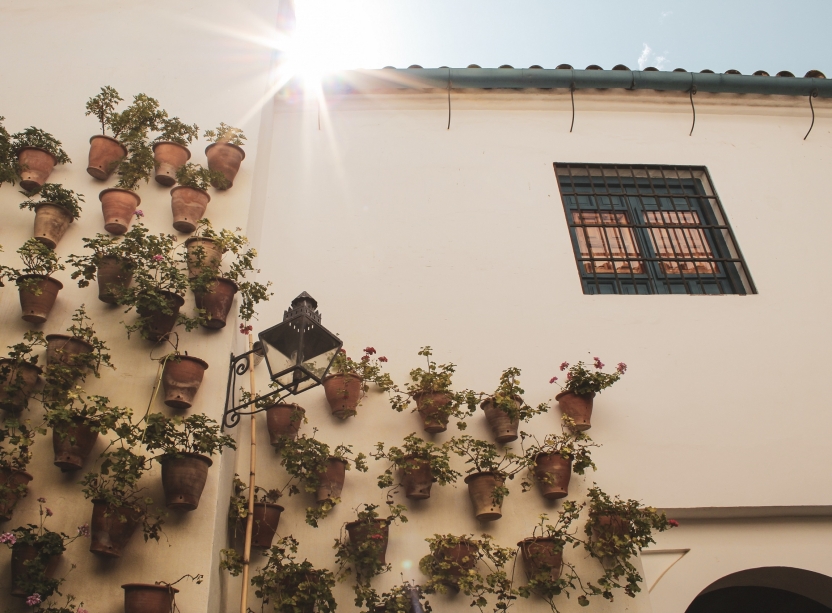 A building with flower pots along the side