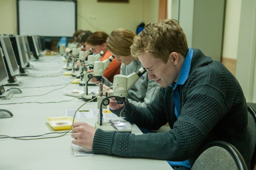 A student looks into a microscope, with other students doing the same nearby