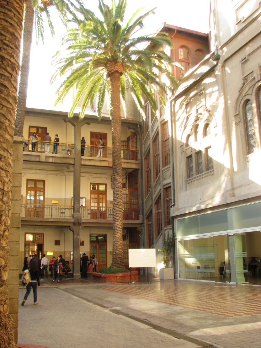 A campus courtyard with a palm tree in the middle