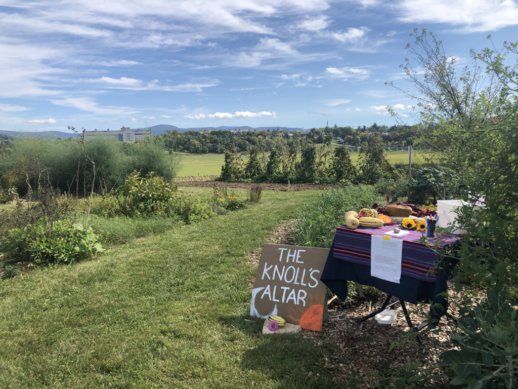 Presentations from the 2021 Clifford Symposium