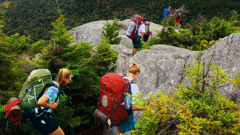 Hikers in the green mountains