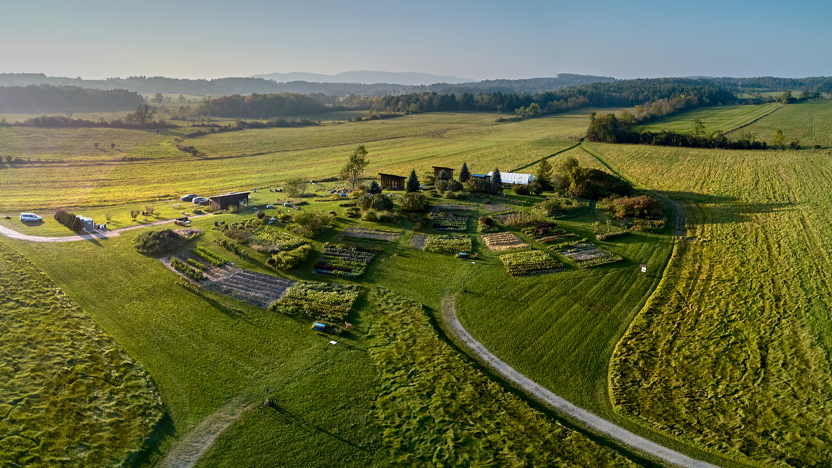 Aerial view of the knoll