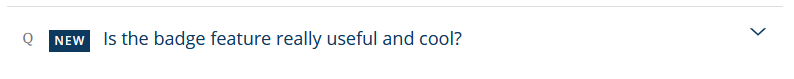 The public view of the FAQ component content showing the "NEW" badge to the left of the question text