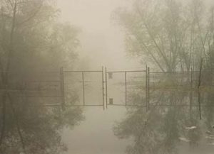 A photograph from the Land and Lens collection showing a field gate in the fog.
