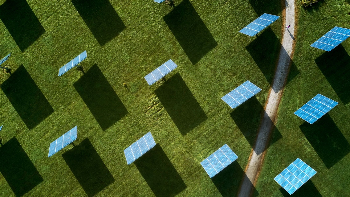 The solar array adjacent to campus.