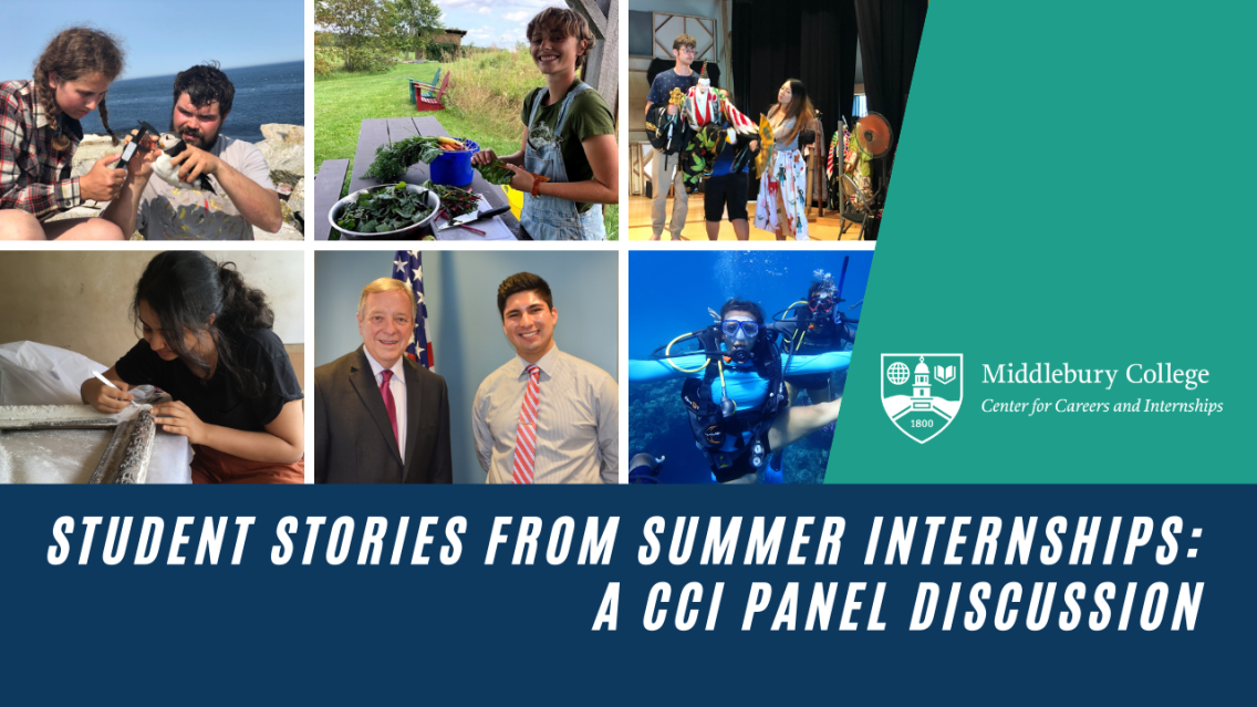 YouTube Graphic for CCI Summer Internship Panel