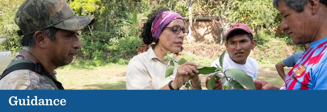 A middle-aged woman in a white shirt and pink bandana holds up a brown branch with green leaves so three men of various builds and heights can look at it. Below the picture a blue graphic footer features the word "Guidance" in white.