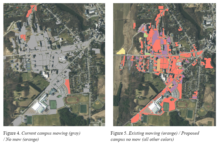 Two images depicting the mowed spaces on Vermont's Campus and the spaces that will be rewilded.