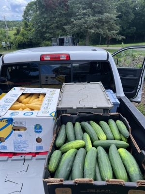 Picture of the bed of a pick-up truck packed with crates of farm-fresh food: cucumbers and summer squash. 