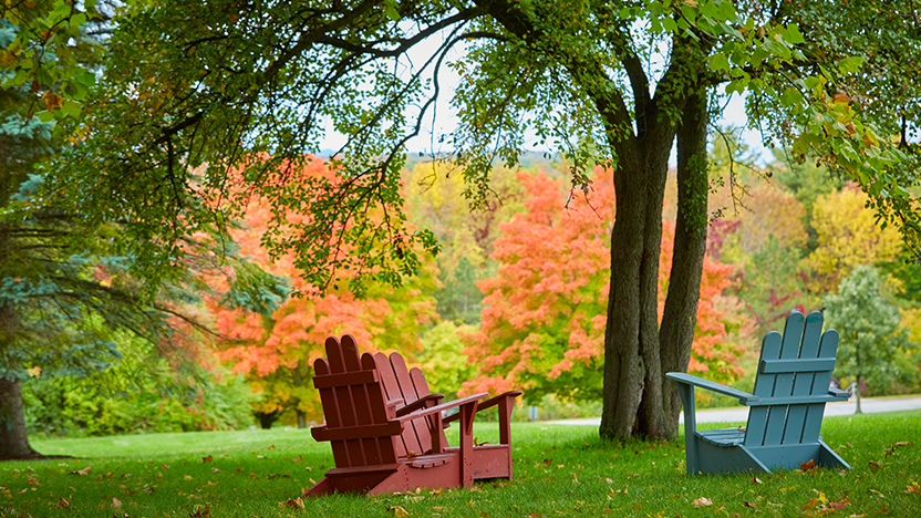 College-Scenic-2024-Fall-Adirondack-Chairs