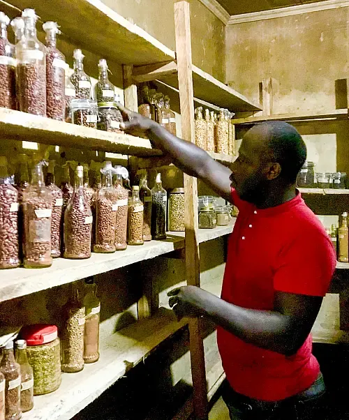 A person stocks the shelves at the community seed bank.