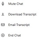 ITS Virtual Assistant chat options
