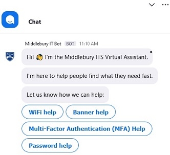 Upper part of ITS Virtual Assistant chat window