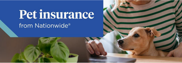 A banner for Pet Insurance from Nationwide, consisting of a woman and dog looking at a laptop screen.