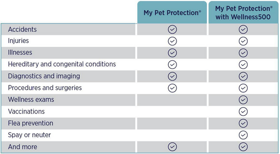 A chart comparing the difference between My Pet Protection and My Pet Protection with Wellness500. Wellness500 includes the extra benefits of Wellness exams, vaccinations, flea prevention, and spay or neuter.