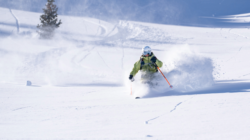 a skier