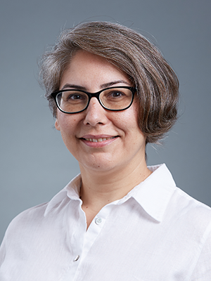 Headshot of Sebnem Gumuscu in white collared shirt against grey backdrop