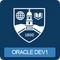 Oracle Icon