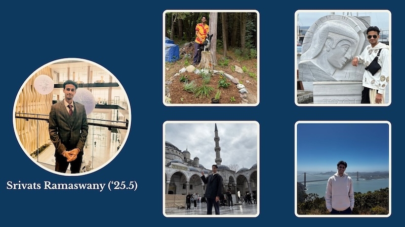 College collage with nature and cities