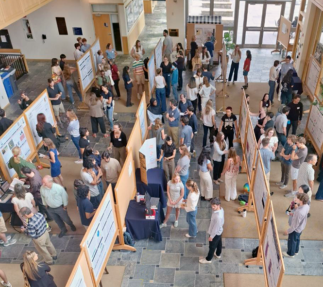 crowd of people looking at research posters