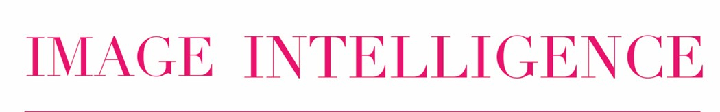 A pink text treatment that reads (in all caps) "Image Intelligence"