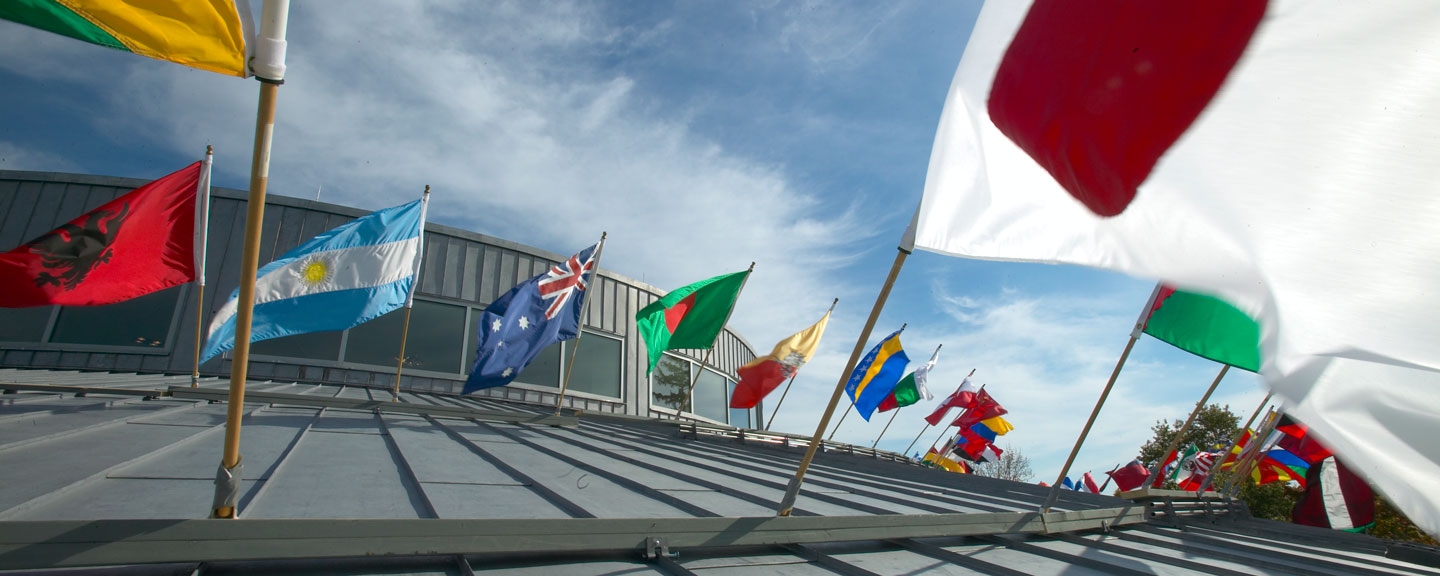 International flags are flown from Davis Library at the center of campus.