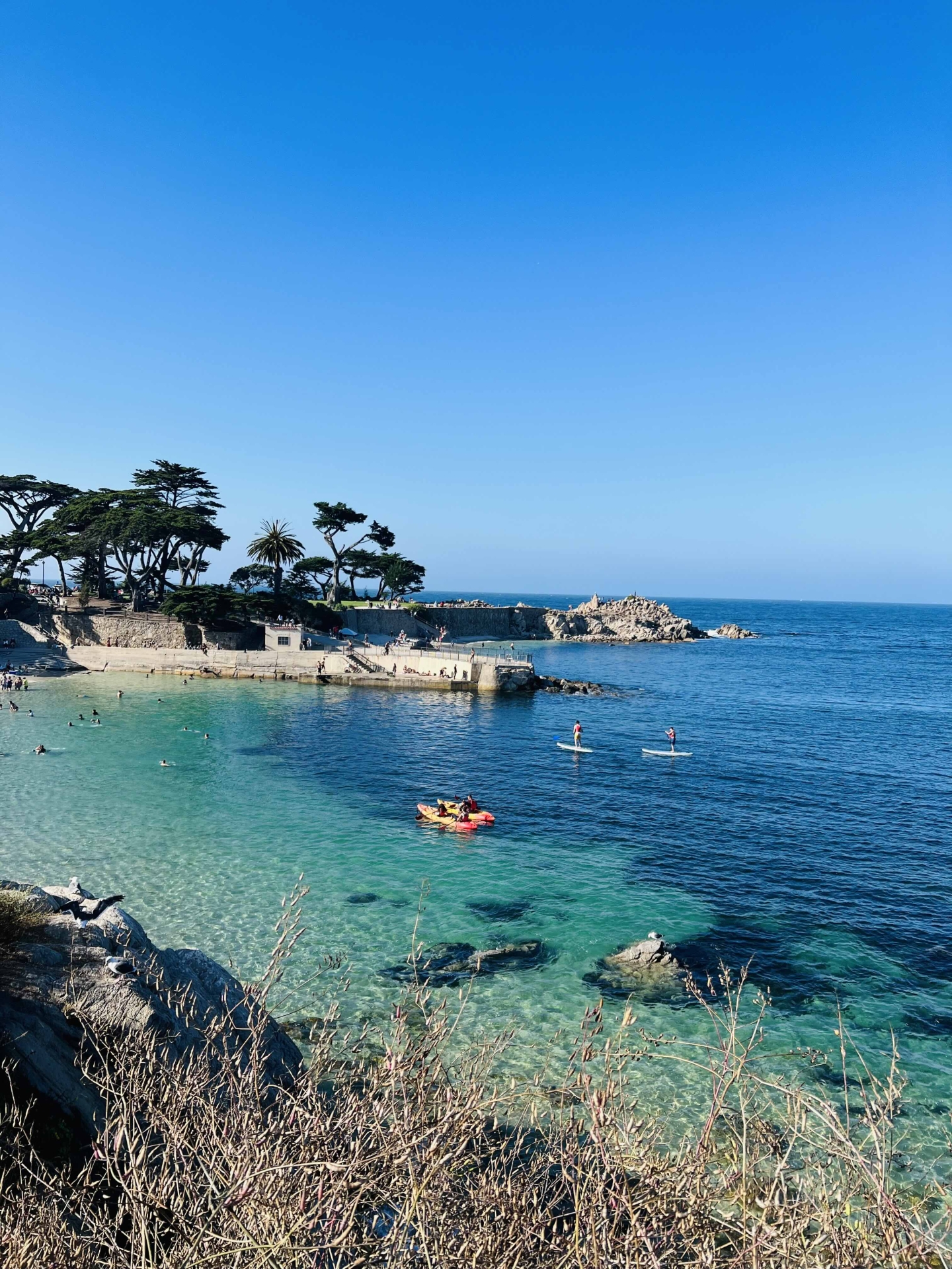 monterey bay with kayaks