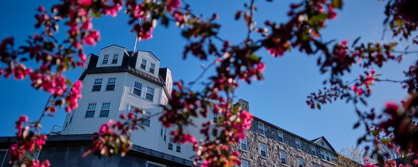 View of the Ross "cupola" as seen through red spring buds