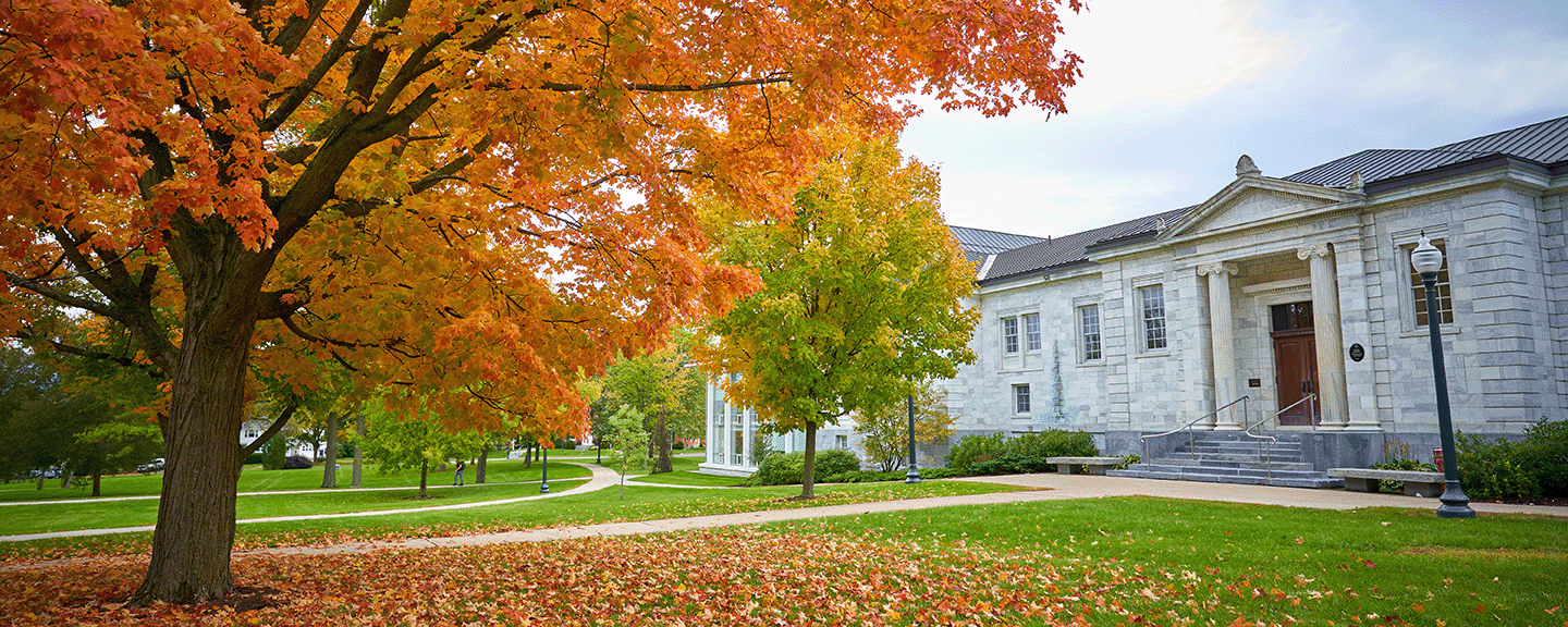 A maple with bright orange leaves outside Axinn Center. Fallen leaves are scattered on the still-green grass below.
