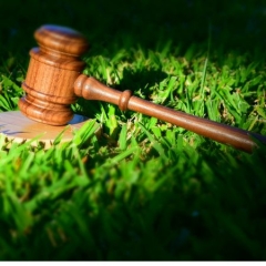 Gavel on grass