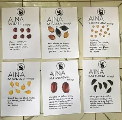 Illustrations and information on a selection of seeds in the community seed bank hang on display. 