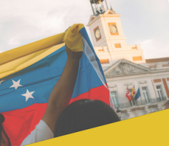 Venezuelan flag