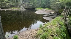 The dam in Ripton, Vermont