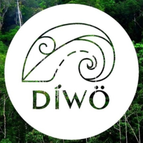 DÍWÖ graphic icon