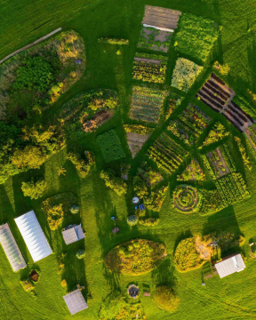 aerial photo of the knoll gardens in bloom