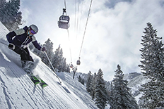 MiddWinter Meetup Aspen