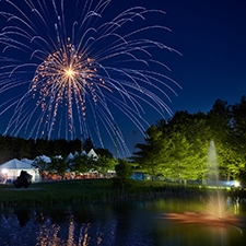 Fireworks in the night sky over the Arts Center.