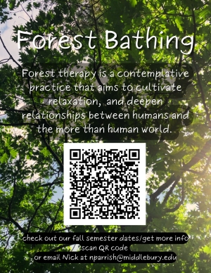 Forest Bathing