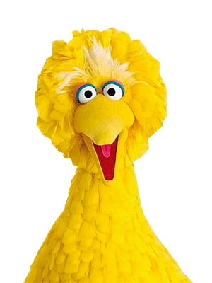 Portrait of the character Big Bird