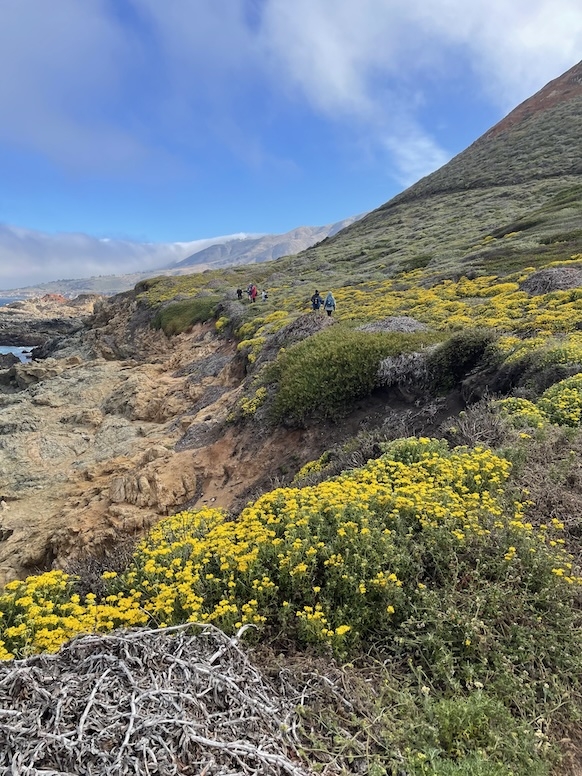 A hike on the California coast.