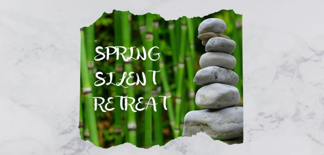photo of bamboo with rock cairn