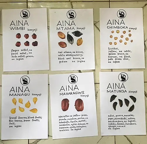 Illustrations and information on a selection of seeds in the community seed bank hang on display. 