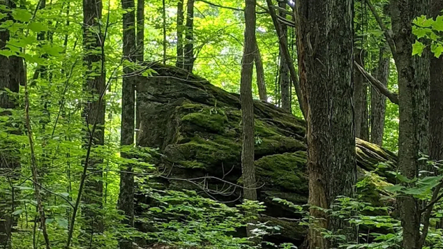 Battell Biological Preserve