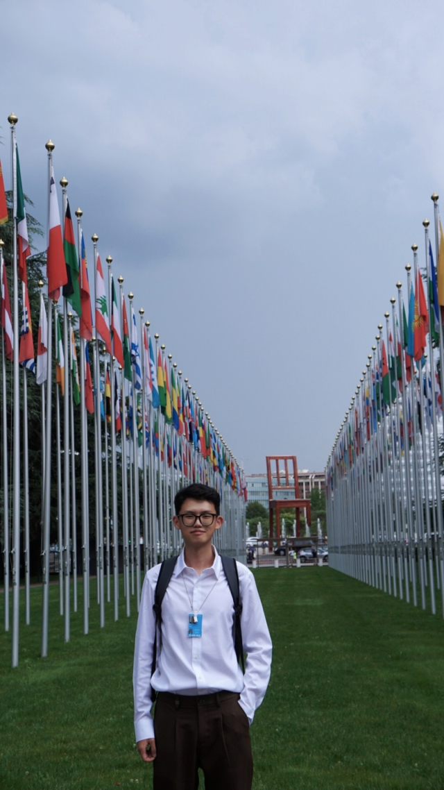 A person stands along a line of flags