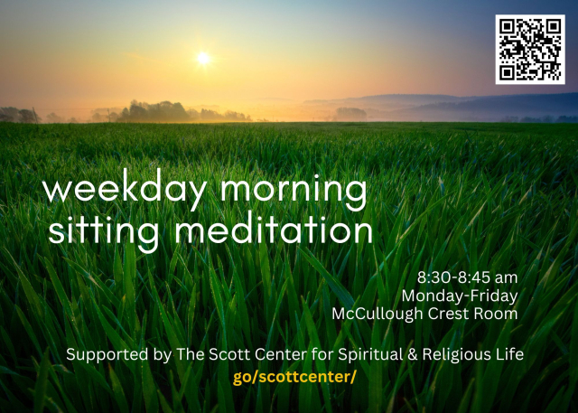 sunrise over green meadow