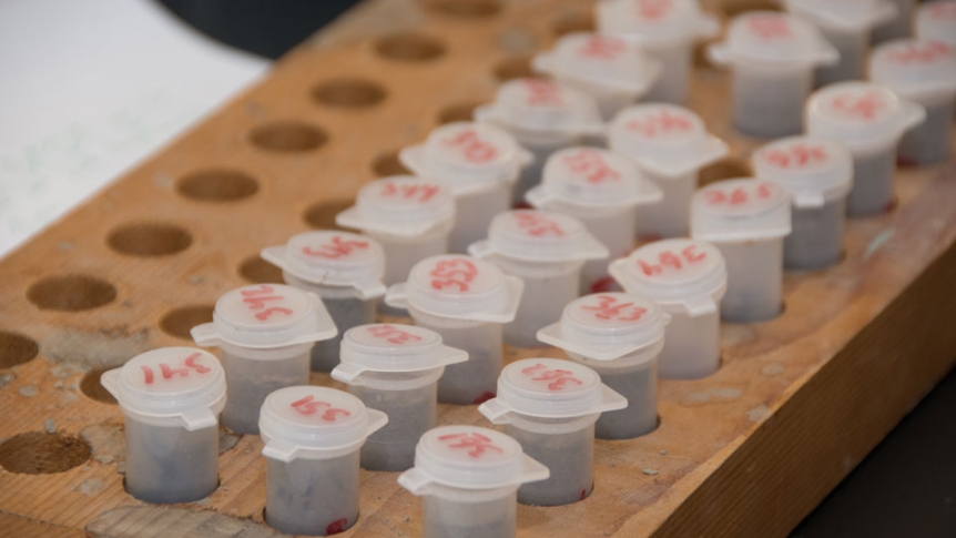 Vials of collected research samples awaits a professor.